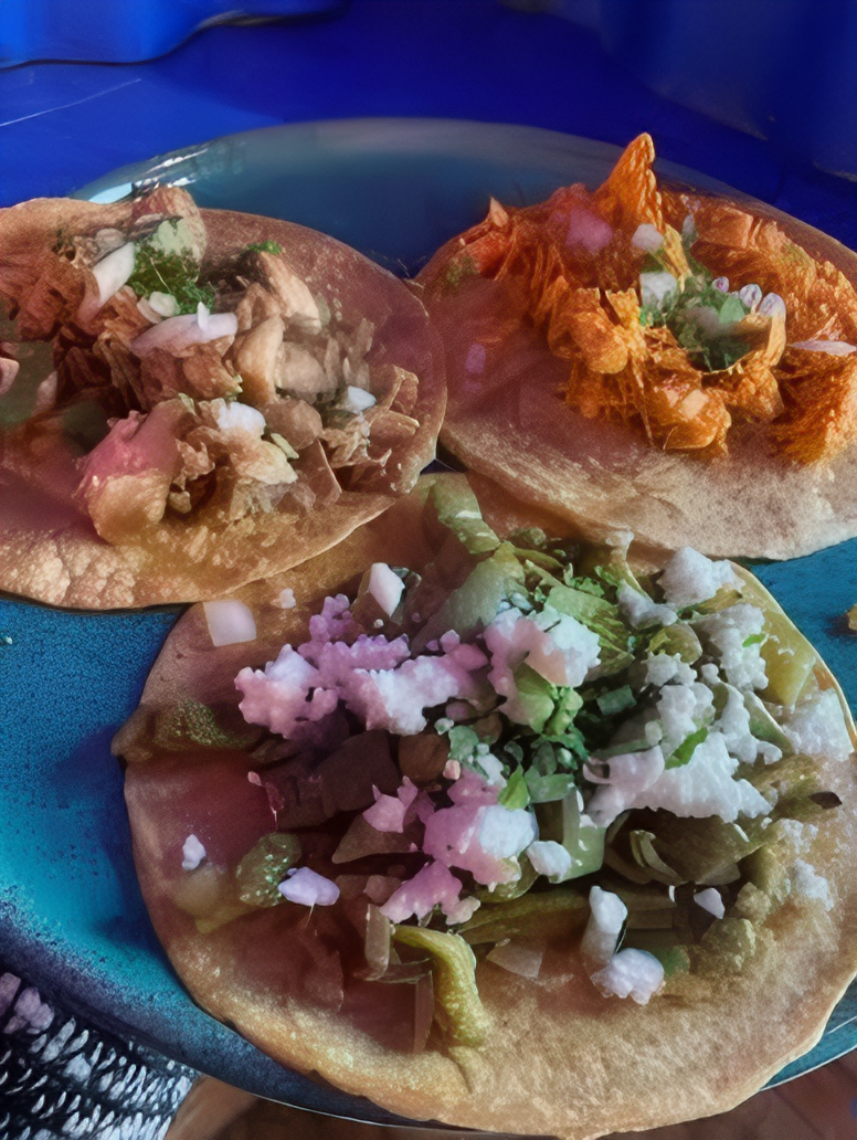 Mex'iik Tacos Carnitas, Tinga de pollo y Nopales